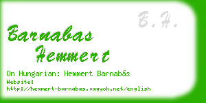 barnabas hemmert business card